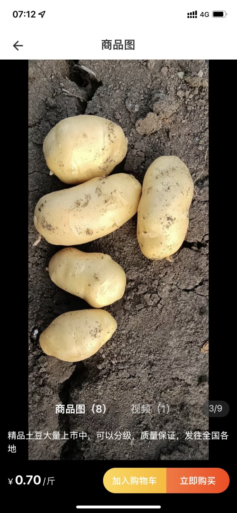 精品土豆，精品沃土，质量保证，欢迎联系