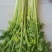 优质香芹，种植面积大，货源充足，高度55公分左右，质量好