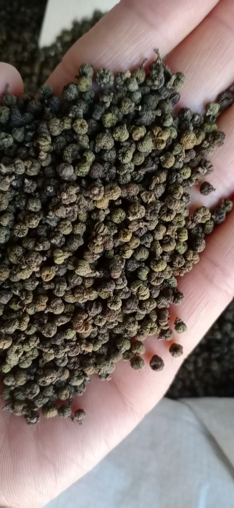 吴茱萸，吴萸，各种等级，中药材批发，按方抓药，超微粉加工