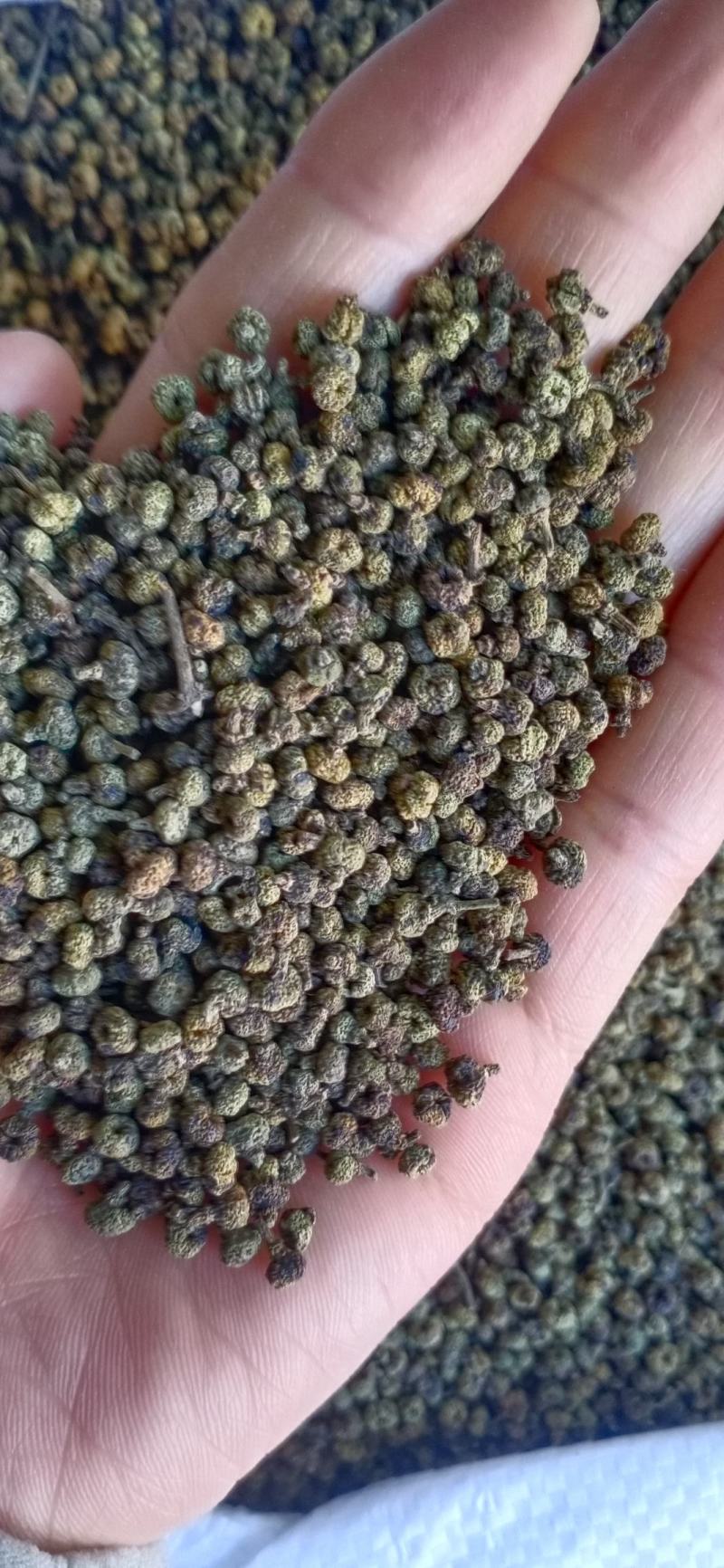 吴茱萸，吴萸，各种等级，中药材批发，按方抓药，超微粉加工