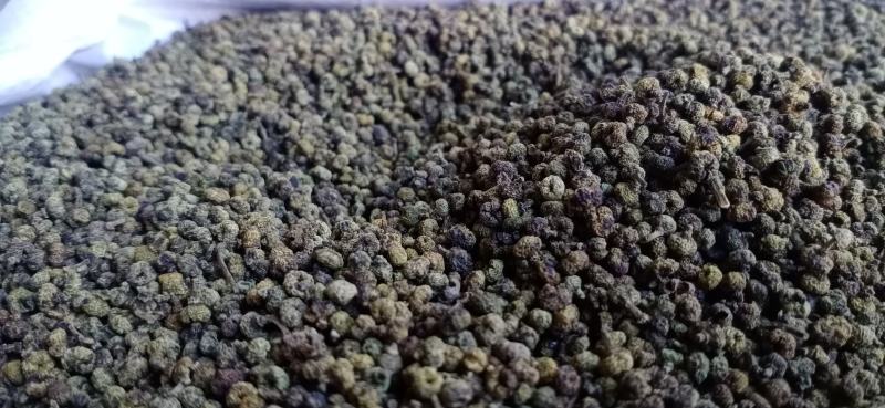 吴茱萸，吴萸，各种等级，中药材批发，按方抓药，超微粉加工