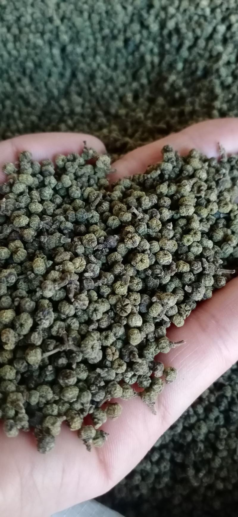 吴茱萸，吴萸，各种等级，中药材批发，按方抓药，超微粉加工