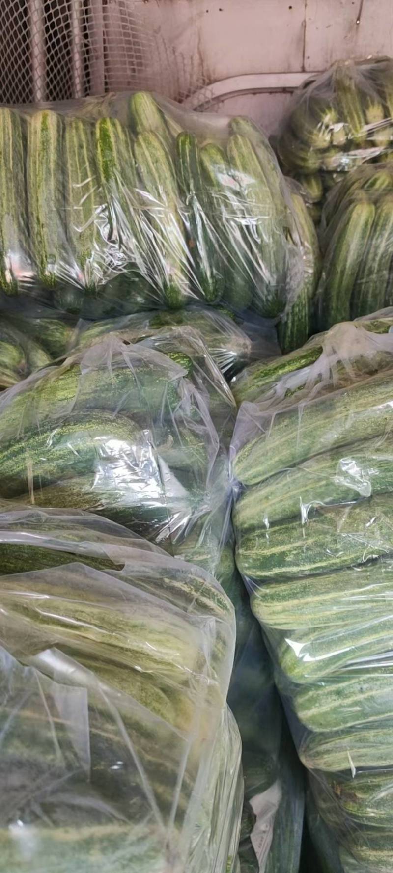 精品旱黄瓜，当天采摘，当天发货
