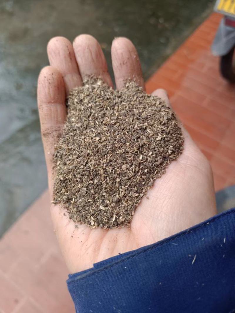 烘干木薯酒糟