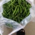 大量工厂下池货