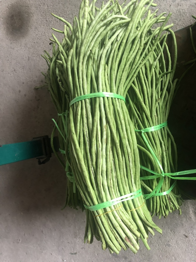 一级品，好质量豆角