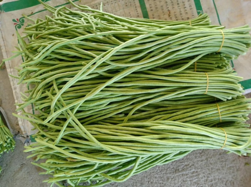 一级品，好质量豆角