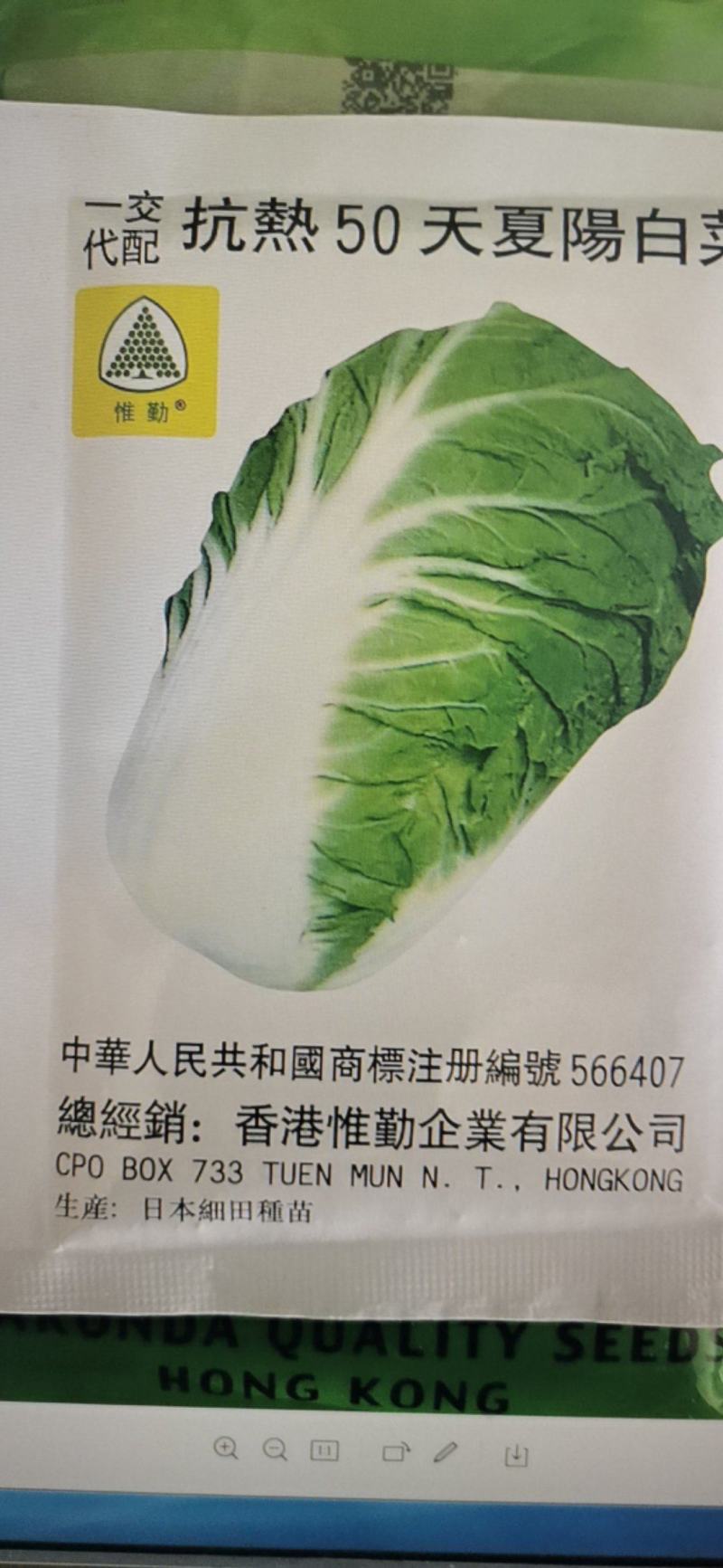 夏阳白菜种子抗热50天进口耐热耐湿春夏秋白菜种子