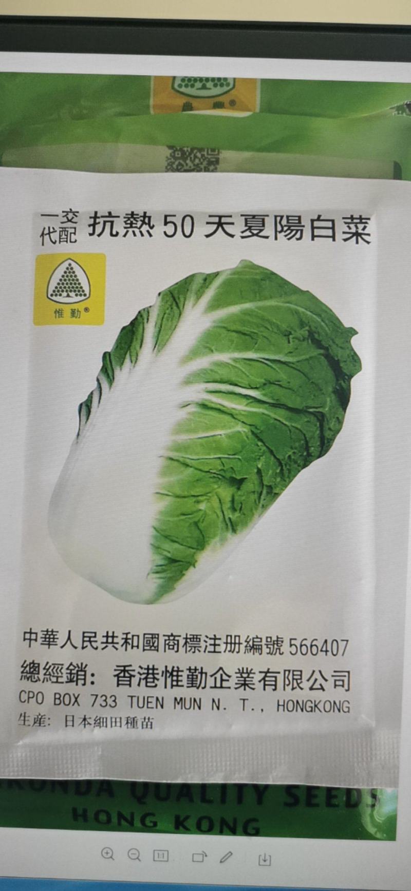 夏阳白菜种子抗热50天进口耐热耐湿春夏秋白菜种子