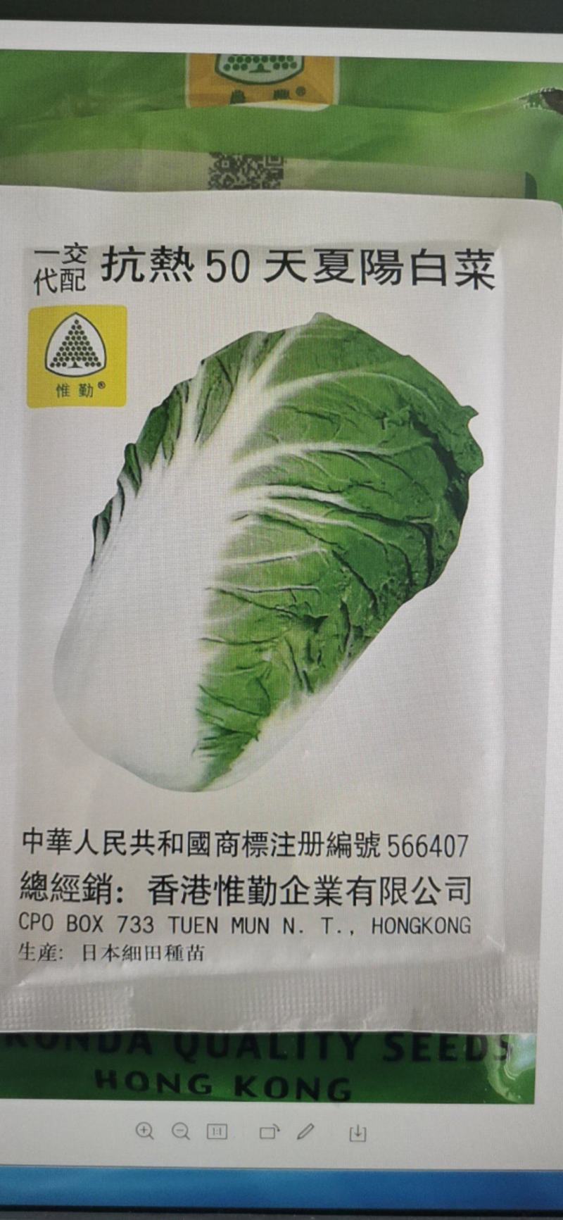 夏阳白菜种子抗热50天进口耐热耐湿春夏秋白菜种子