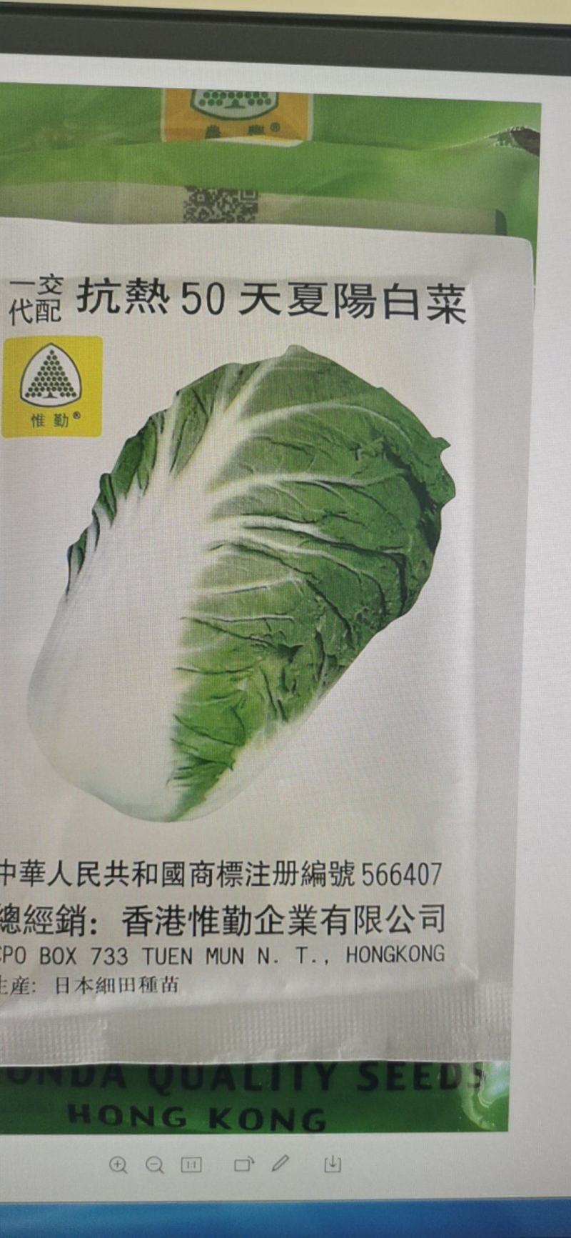 夏阳白菜种子抗热50天进口耐热耐湿春夏秋白菜种子
