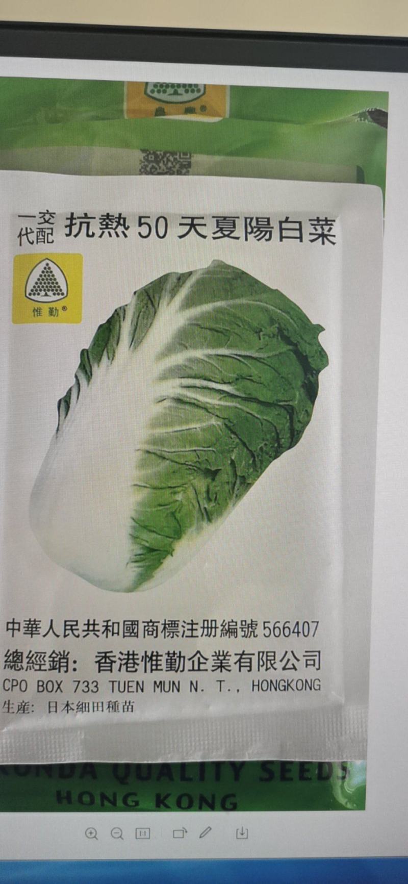 夏阳白菜种子抗热50天进口耐热耐湿春夏秋白菜种子