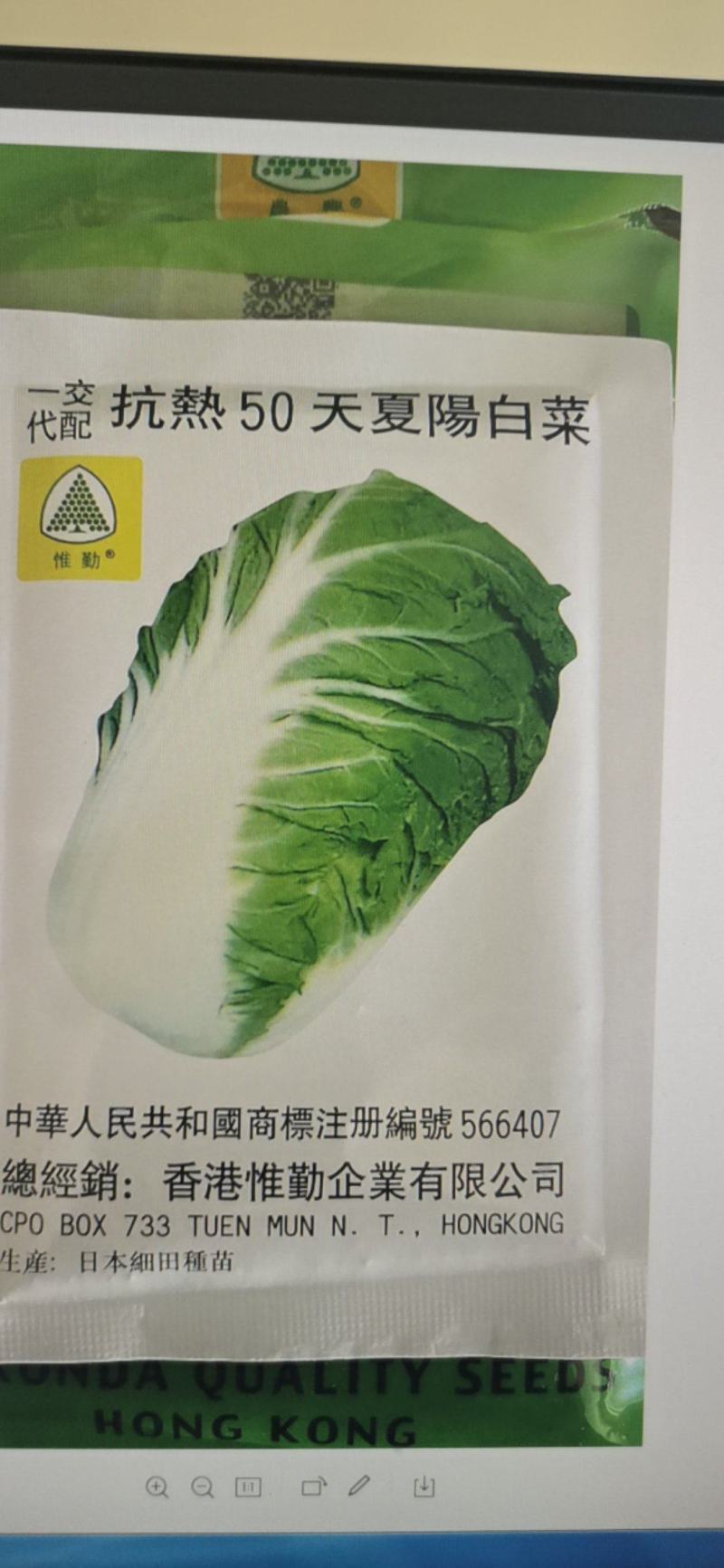 夏阳白菜种子抗热50天进口耐热耐湿春夏秋白菜种子