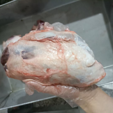精修前腱基地直供，纯干货，质量好，货源充足