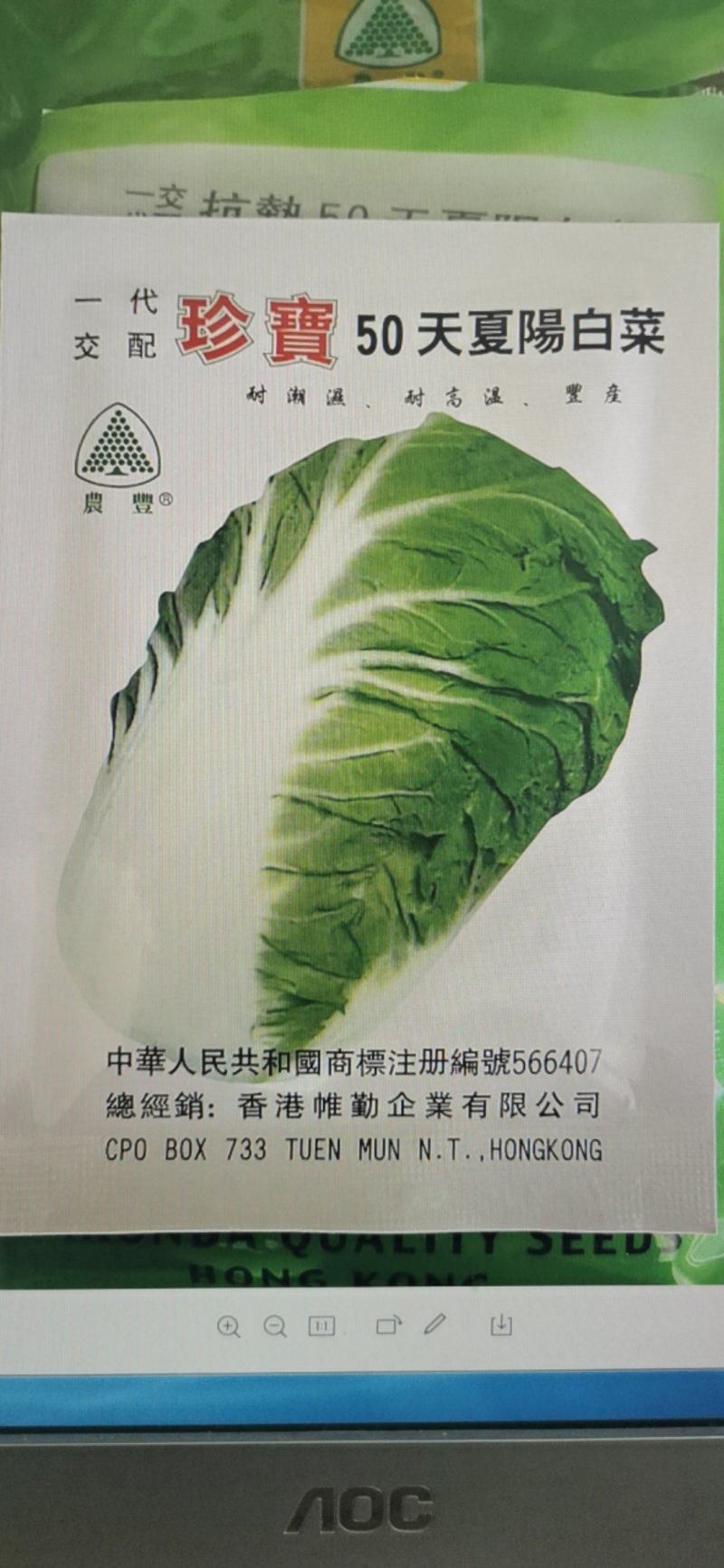 珍宝50天夏阳白菜种子夏季早熟抗热抗病秋季大白菜
