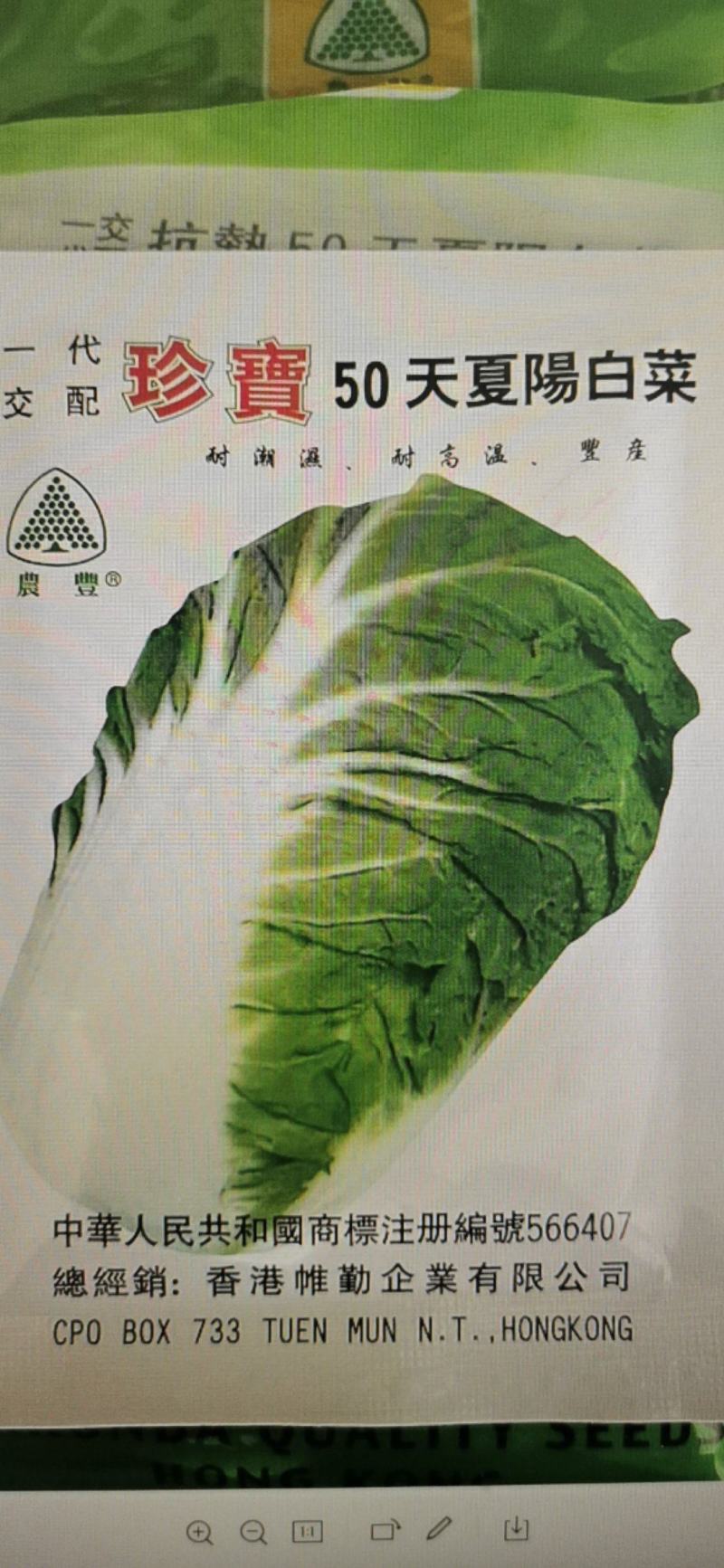 珍宝50天夏阳白菜种子夏季早熟抗热抗病秋季大白菜