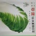 珍宝50天夏阳白菜种子夏季早熟抗热抗病秋季大白菜