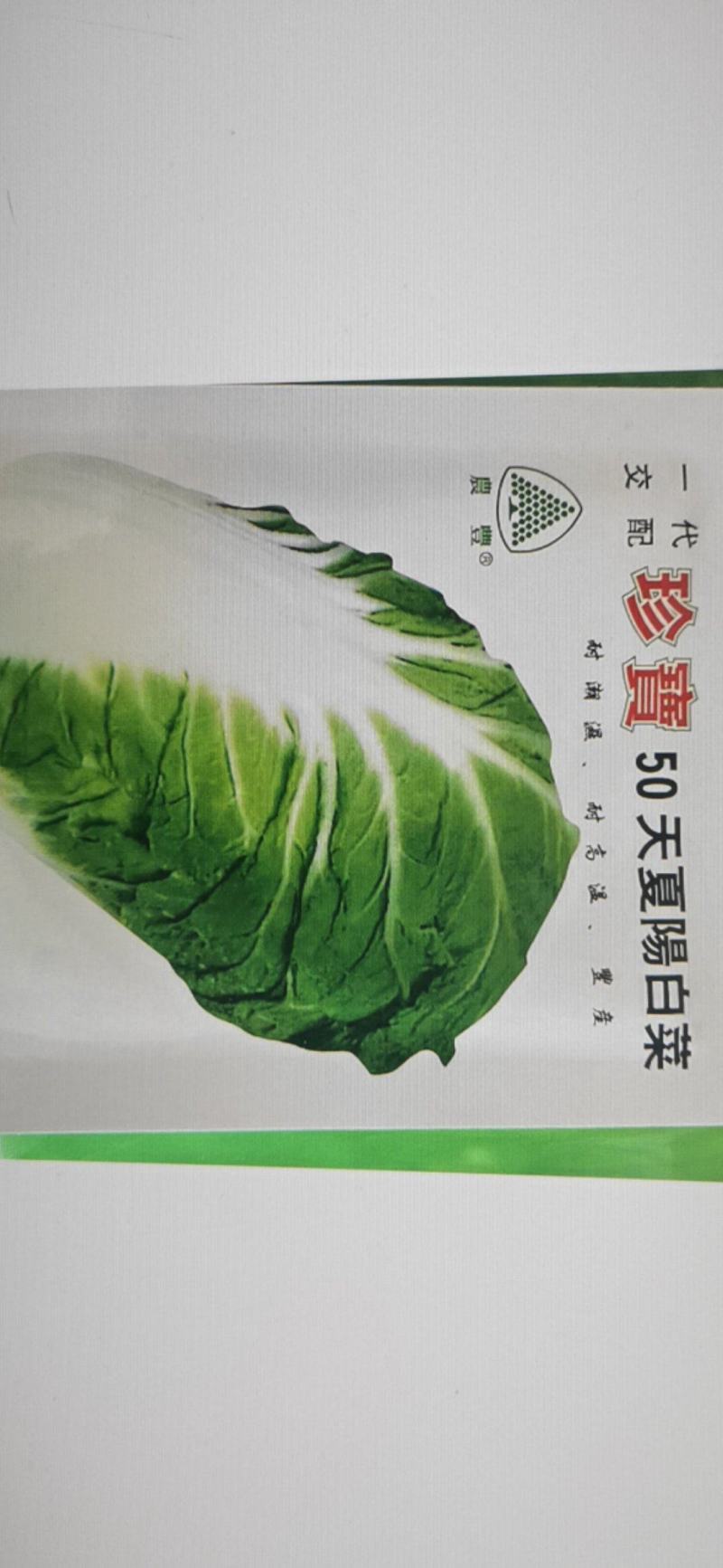 珍宝50天夏阳白菜种子夏季早熟抗热抗病秋季大白菜