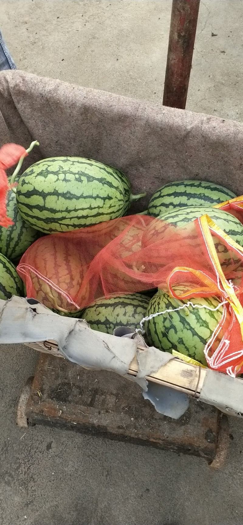 2K西瓜货源充足，大量供货，产地直销，精品优质货源