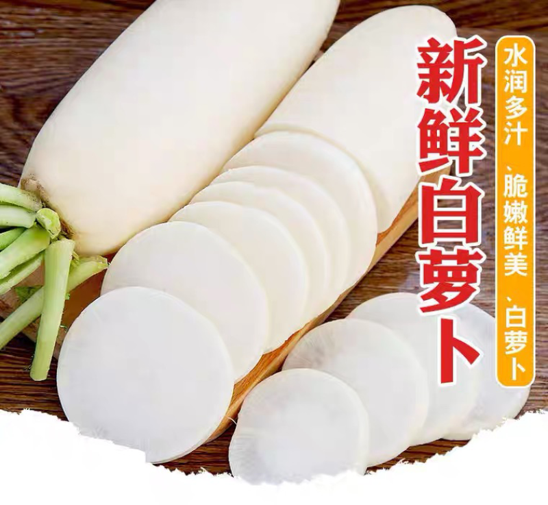 新鲜白萝卜当季蔬菜水果脆嫩萝卜泡菜胡萝卜重庆特产基地直发