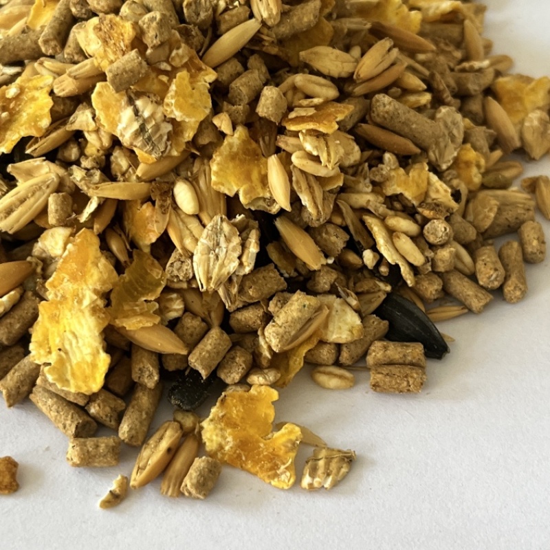 马全价配合饲基础型马粮零售25kg一袋马术俱乐部精饲料