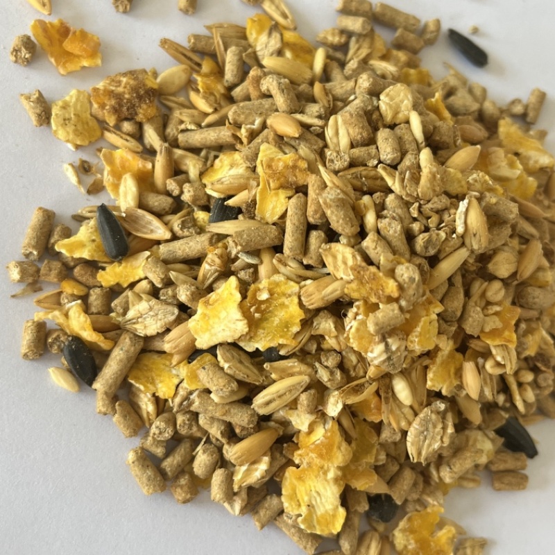马全价配合饲基础型马粮零售25kg一袋马术俱乐部精饲料