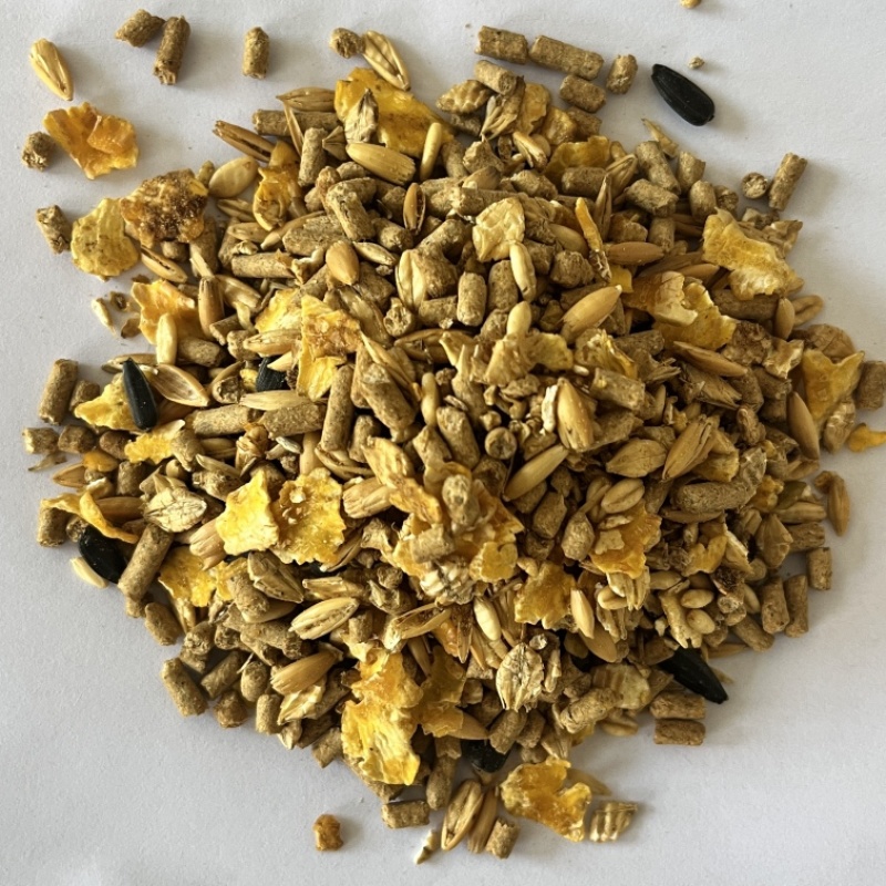 马全价配合饲基础型马粮零售25kg一袋马术俱乐部精饲料