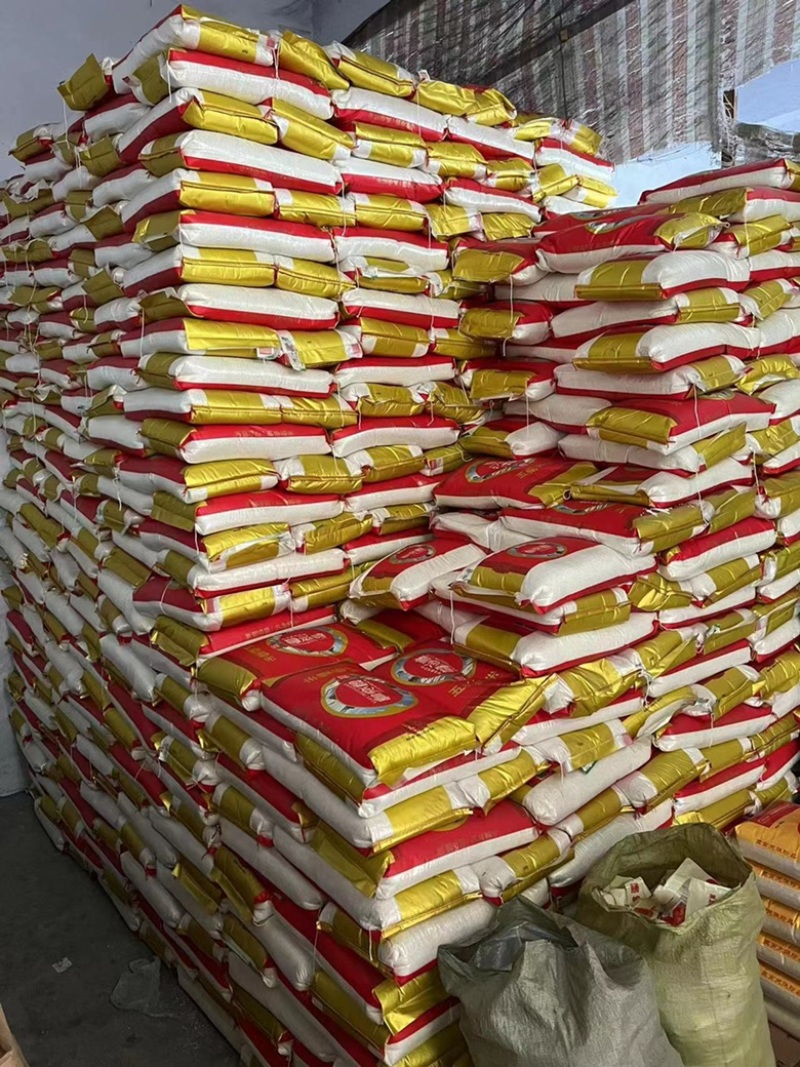 批发东北圆糯米江米包粽子酒酿新鲜白糯米袋装25公斤