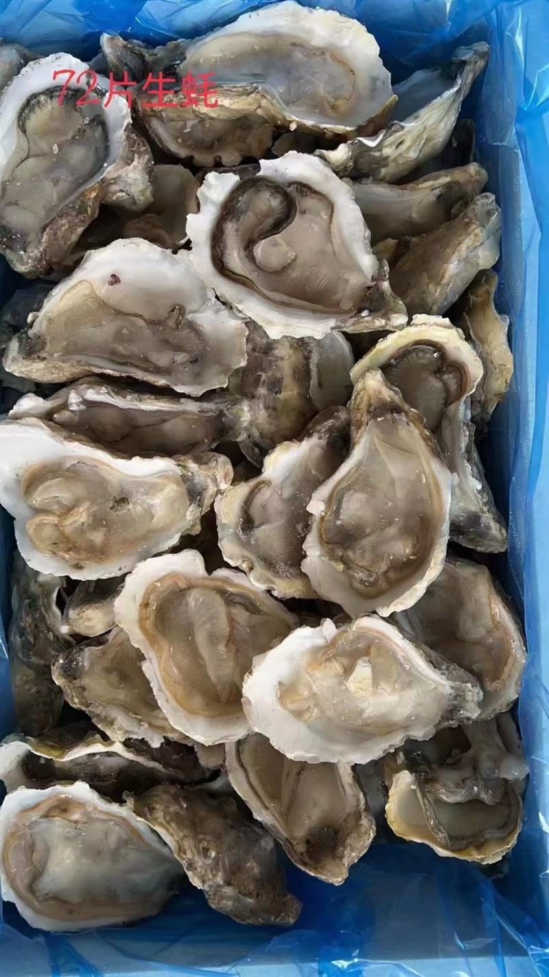 半壳生蚝规格齐全