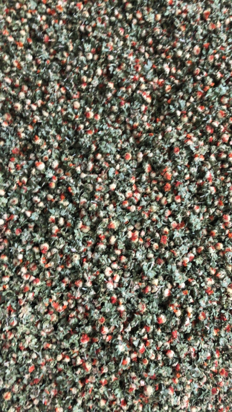 泡脚红花朵新货红花边角料饲料便宜红花中药草红花