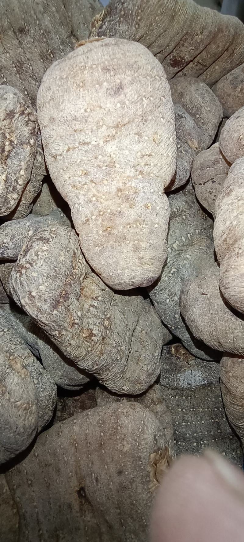 天麻，广西花坪保护区石玉天麻，无硫，断面透亮，品质高