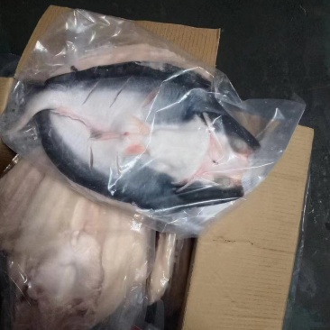 腌制开背巴沙