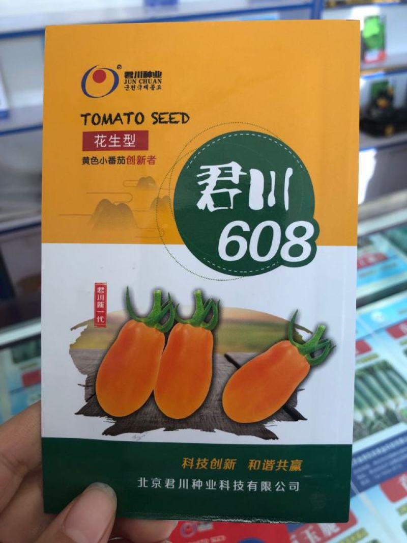 黄色花生果小番茄苗，黄色圆果小番茄苗、黄色鸡心果小番茄苗