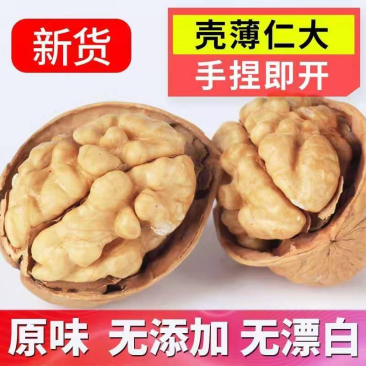 核桃新疆核桃一件代发薄皮核桃