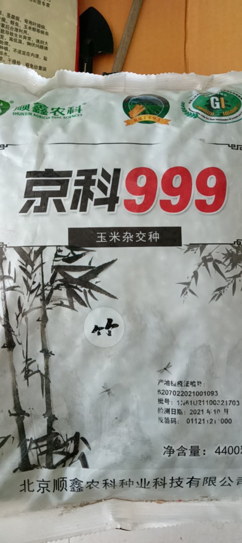 京科999高抗病，红轴大棒，活杆成熟产量高