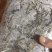 河虾冻版