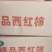西红柿