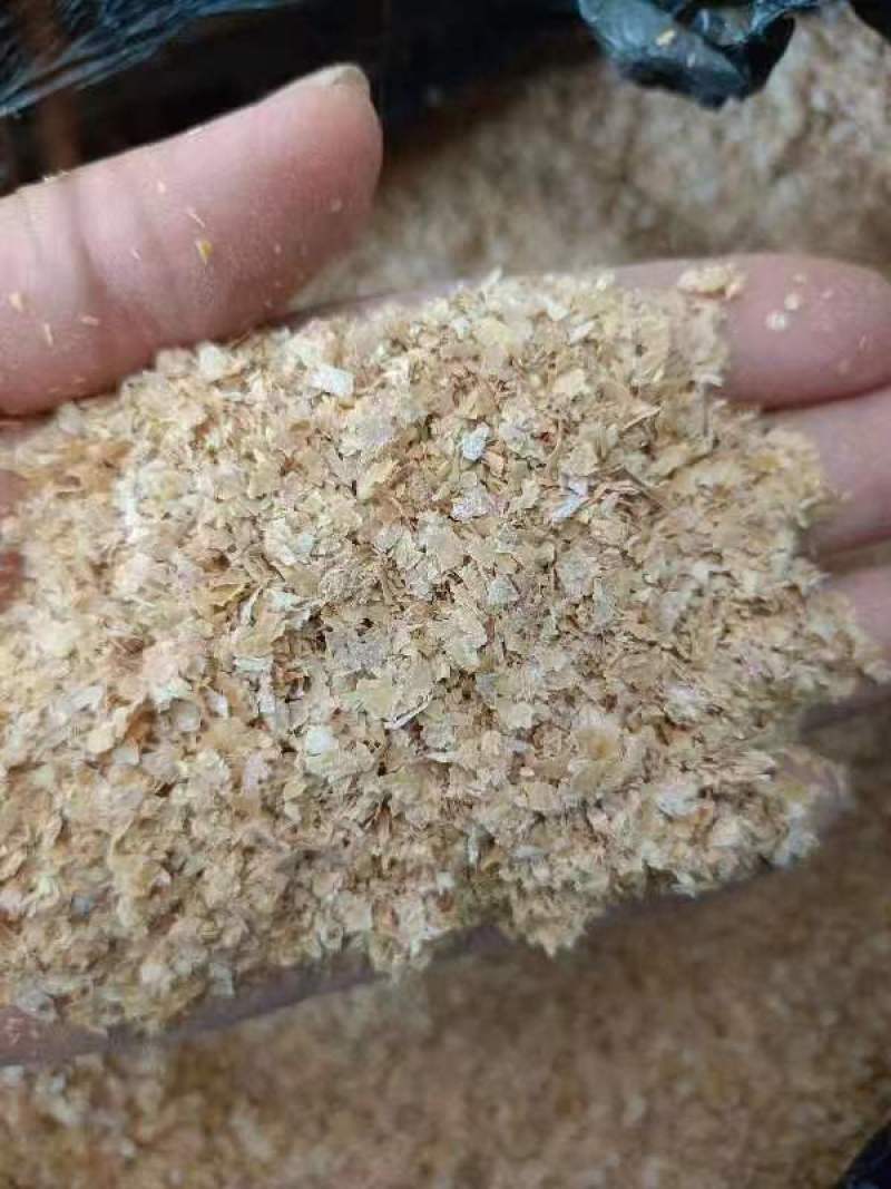麦麸，适合牛羊鸡猪宝宝预混饲料，欢迎老板选购