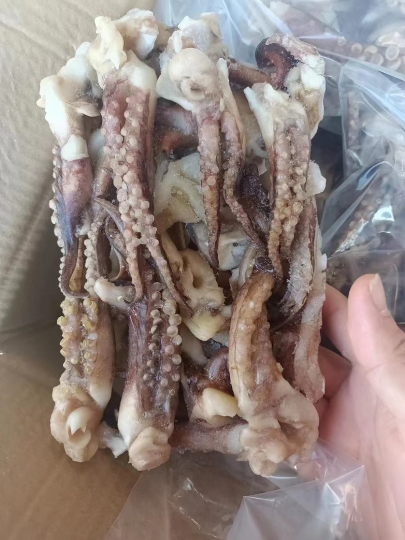 精品二本足鱿鱼须尤鱼须章鱼足鱿鱼头章鱼头鱿鱼丝鱿鱼条