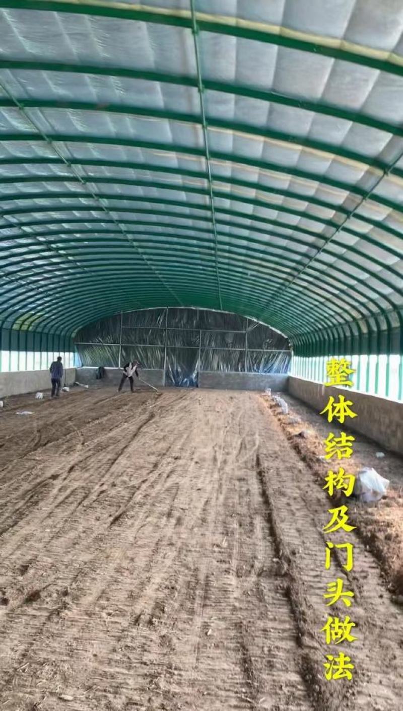 天津精品温室大棚圆管厂家直发一手货源品质保证