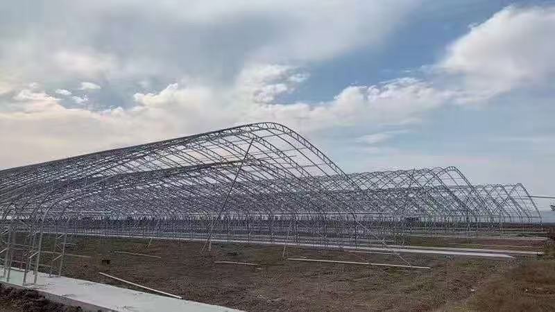 天津精品大棚钢架镀锌管厂家直发品质保证欢迎联系
