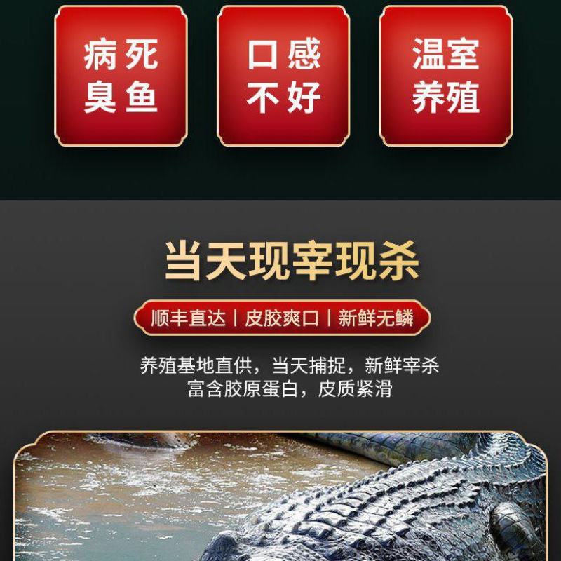 新鲜鳄鱼爪，现宰现卖，真空包装，规格2/3斤，顺丰发货！