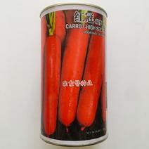 红冠F1国外新引进三红胡萝卜种子耐暑性强皮肉芯呈桔红色