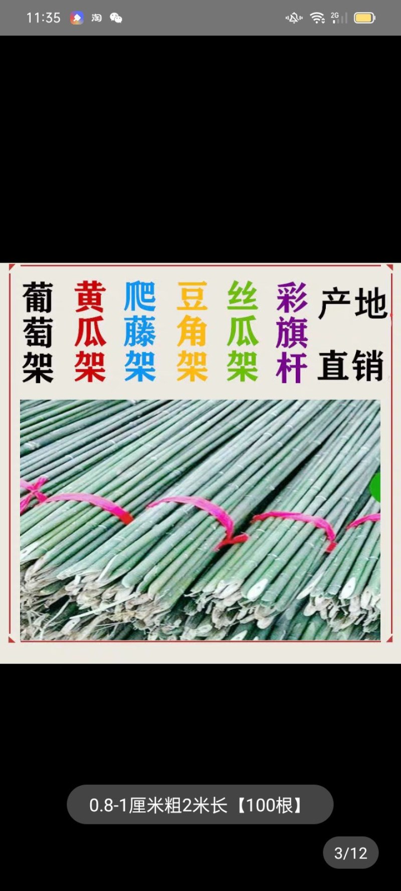 菜架竹南竹麻竹大批量供应优质各种大小竹子