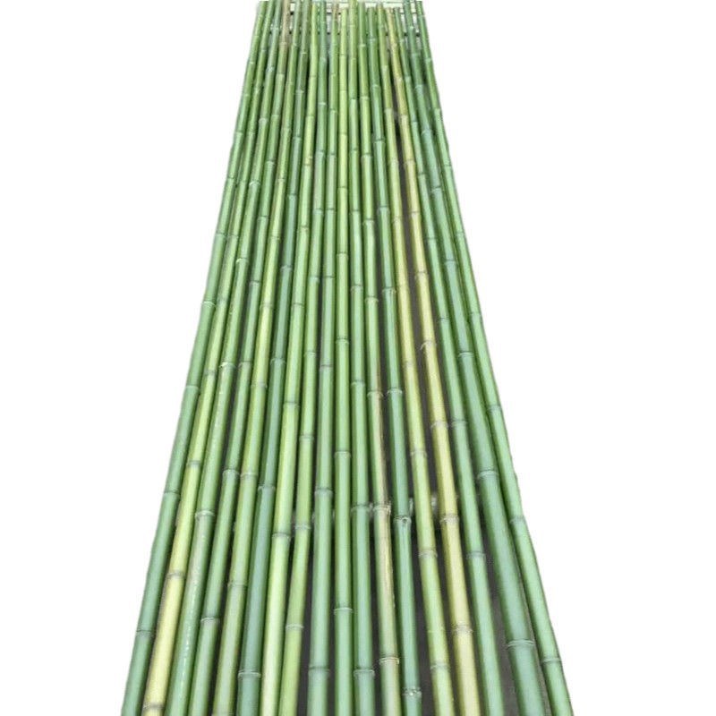 菜架竹南竹麻竹大批量供应优质各种大小竹子
