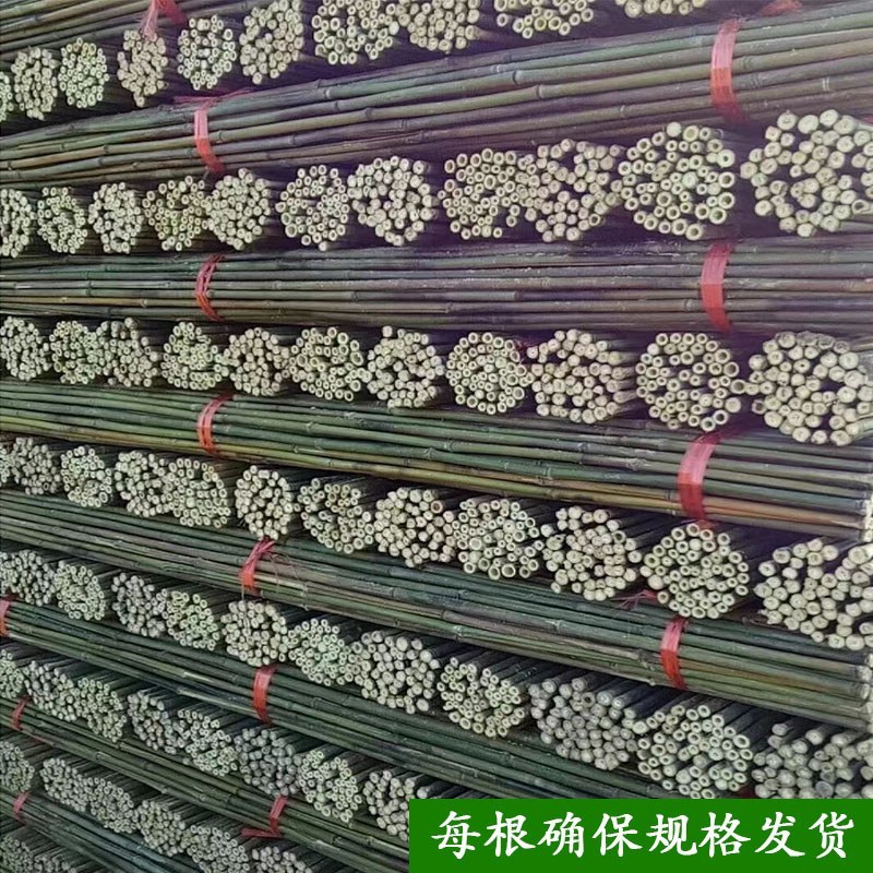 菜架竹南竹麻竹大批量供应优质各种大小竹子