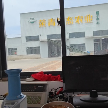 小麦
