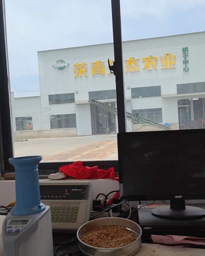 小麦