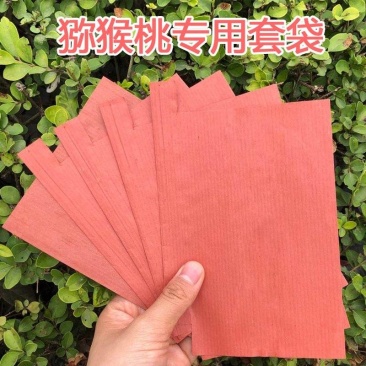 猕猴桃套袋红心黄心通用水果奇异果袋防水防虫防鸟带铁丝单层