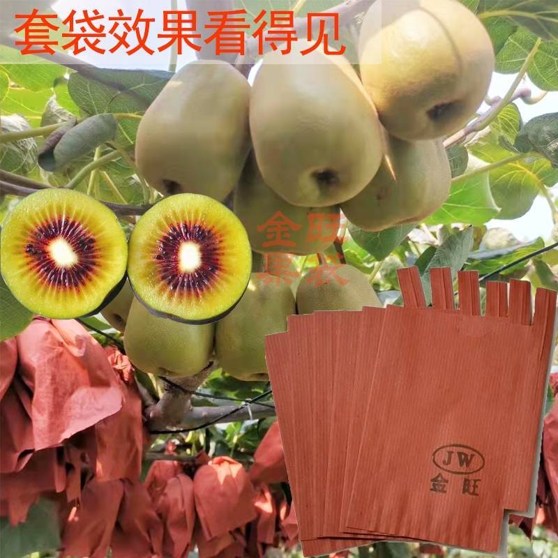 猕猴桃套袋红心黄心通用水果奇异果袋防水防虫防鸟带铁丝单层